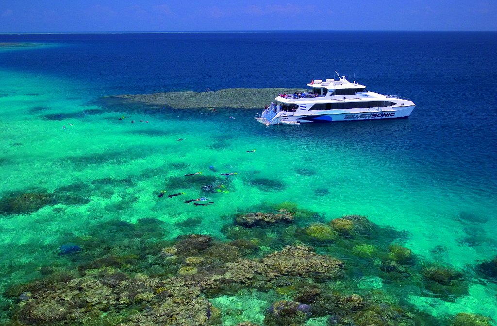 Port Douglas Snorkel & Dive Tour Great Barrier Reef Tours