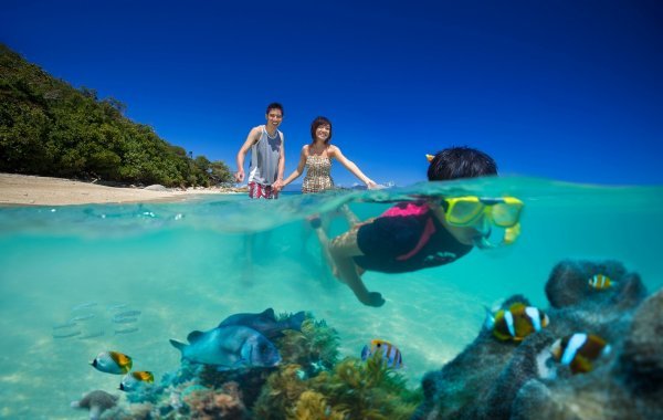 Snorkelling Fitzroy Island Resort | Cairns' Island Resorts 