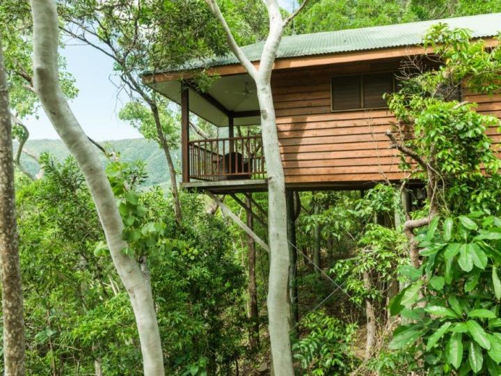 Eco Resorts Cairns - Luxury Eco Treehouse style accommodation with Rainforest or Ocean views - Thala Beach Nature Reserve 