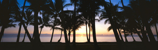 Palm Cove - Alamanda Resort Palm Cove 