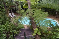 Daintree Rainforest Retreat - holiday home accommodation | Stay Close To Nature