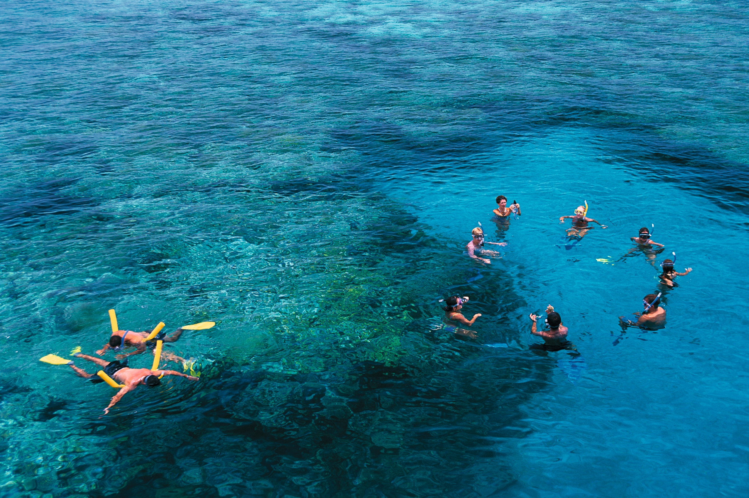 Snorkelling Great Barrier Reef