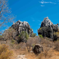 2 Day Daintree Cape Tribulation AND Chillagoe Combo