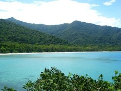 Daintree Retreat Holiday Home - WAW