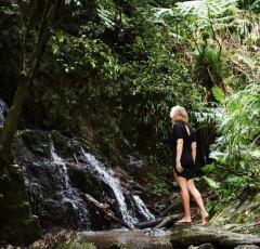 Daintree Ecolodge 