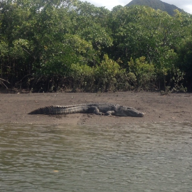 Cape York Ultimate 11 Day Cape York Camping Fly/Drive Safari NW