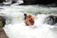 Adrenaline white water rafting