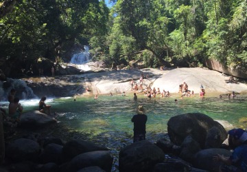 Afternoon Departure From Cairns To Josephine Falls | Enjoy A Refreshing Swim