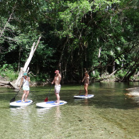Afternoon Tour From Port Douglas | Stand Up Paddle Boarding (SUP)