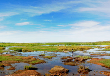 Cape York Tours | Australian Wetland | Birdwatching Paradise | Cape York Camping Safari For Small Group