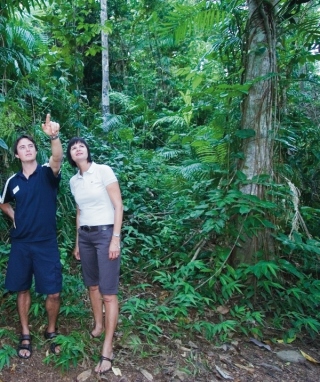 Great Barrier Reef Cruise Includes Rainforest Walk