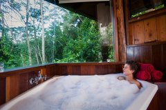 Enjoy Rainforest Views from your Rainforest treehouse complete with Spa bath