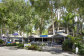 Beachfront view of Paradise on the Beach Palm Cove