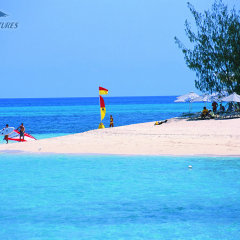 Beautiful Green Island