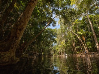 Beautiful rivers and scenery in the Daintree Rainforest
