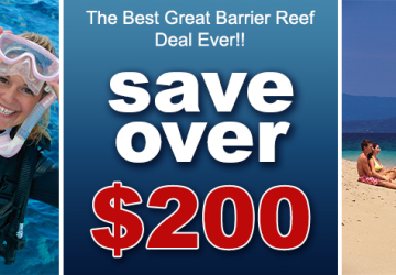 Best value reef trip on Great Barrier Reef 