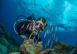 Best Value Snorkel & Dive Tours In Cairns