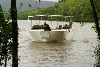 Billy Tea Bush Safari's Daintree River