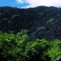 Black Mountain - 3 Day Cooktown 4WD Tour