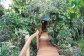 Boardwalk to your romantic treehouse at Mt Quincan Crater Retreat