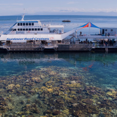 Great Barrier Reef Tour | Brand New Reef Pontoon
