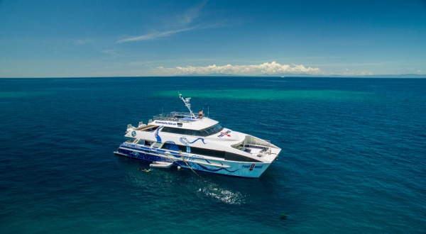 finger marina c marlin Douglas The  Port Cairns Tours  Attractions & & Cairns
