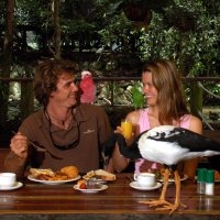 Breakfast with the Birds at Wildlife Habitat