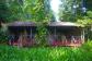 Cosy Rainforest Cabins at Heritage Lodge Spa Retreat Daintree