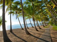 Cairns Beaches - Palm Cove Accommodation