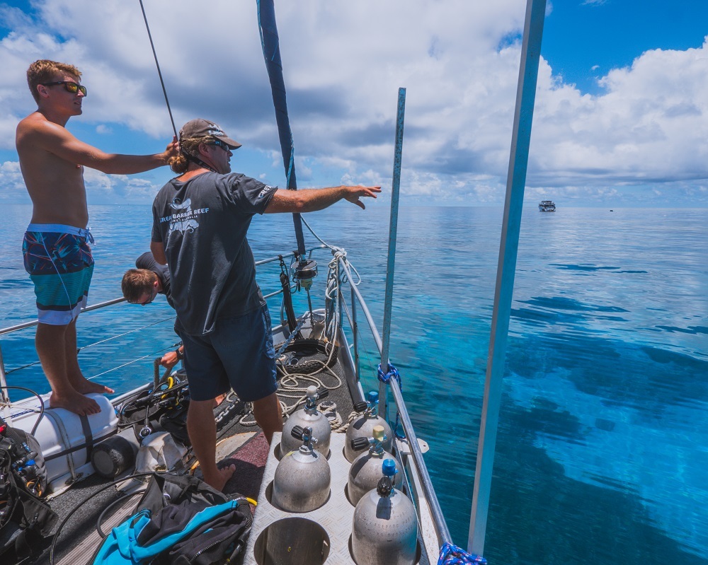 Cairns Dive Trips 2 Day 1 Night Free (10 min) Try Dive