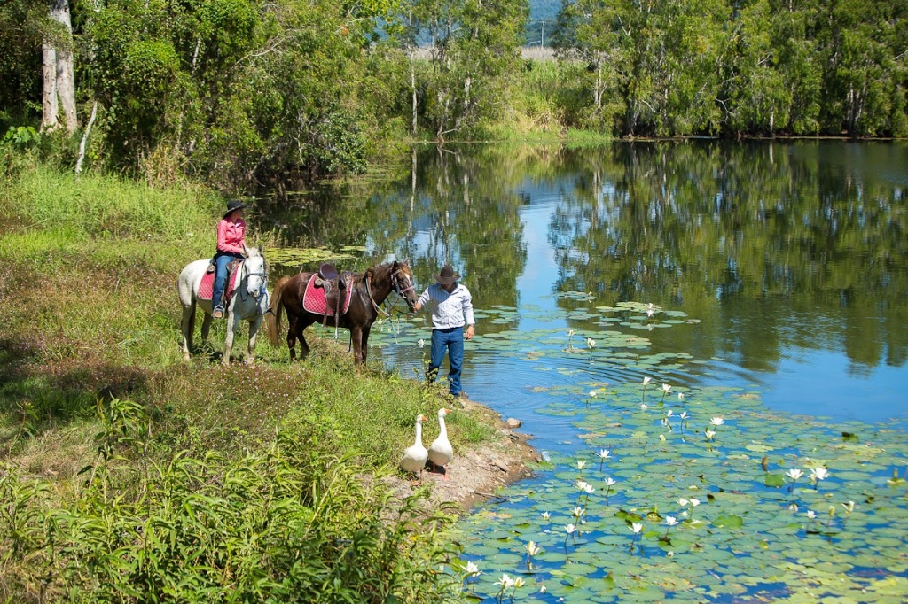 Horse Riding Cairns ATV Quad Bikes Cairns Combo Package Tour Deals