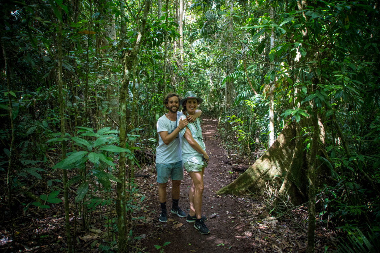 Cairns Hiking Tours Daintree Rainforest Atherton Tablelands Nature