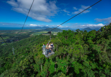 Cairns Rainforest tours