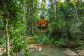 Cairns Rainforest Treehouse | Cairns' Atherton Tablelands Accommodation 