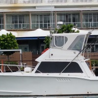 Cairns Reef Fishing - Private Charter Boat