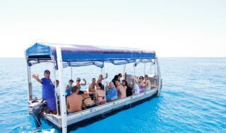Cairns Reef Tours - Glass Bottom Boat Tours