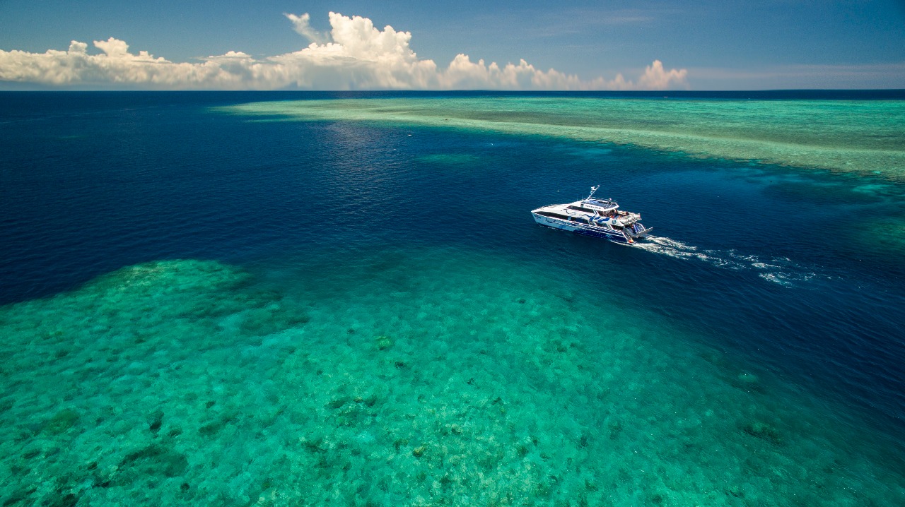 Great Barrier Reef Tours Cairns Best Value New Reef Tour Snorkel