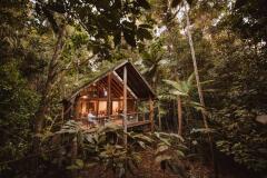 Canopy Treehouse Accommodation  (1)