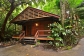 Cape Trib Beach House - Cabins & Dorm Accommodation at Cape Tribulation Beach