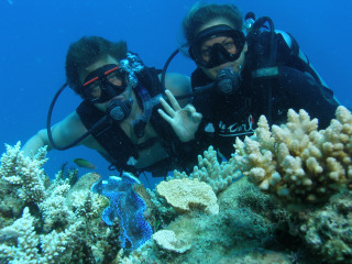 Certified Divers - Great Barrier Reef Tour Cairns