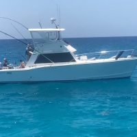 Charter Boats Cairns - 43ft Flybridge Cruise for Snorkel Tours 