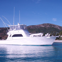 Charter Boats Cairns - Reef Fishing - Diving - Snorkelling 