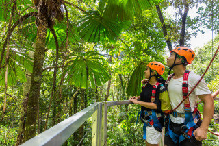 Checking Out the Amazing Daintree Rainforest - Daintree Cape Tribulation Rainforest Zipline