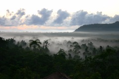 Cockatoo Hill Retreat | Daintree Rainforest Eco Friendly Accommodation