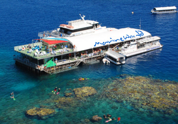 Combo Deal Great Barrier Reef & Kuranda | All Weather Pontoon | Activities For The Whole Family