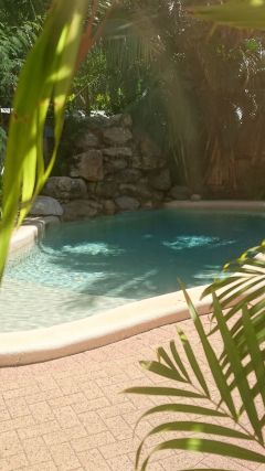 Coral Horizons Swimming Pool | Palm Cove Private Apartments