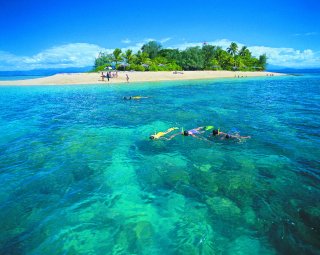 Low Isles Great Barrier Reef Tour | From Port Douglas