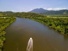 Daintree & Cape Tribulation Day Tours | Daintree River Cruise