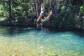 Enjoy a swim | Daintree Crocodylus Accommodation Swimming Holes Hutchinsons Creek