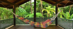 Daintree Holiday Home -  Daintree Retreat
